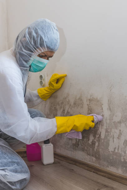 Best Dehumidification Services  in Deenwood, GA