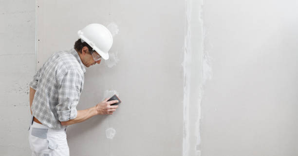 Best Basement Mold Removal  in Deenwood, GA