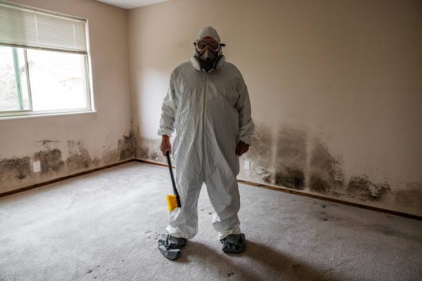 Best Attic Mold Removal  in Deenwood, GA